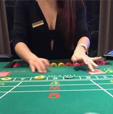 bet vitoria